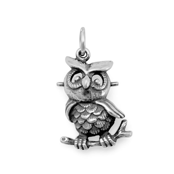 Oxidized Owl Charm